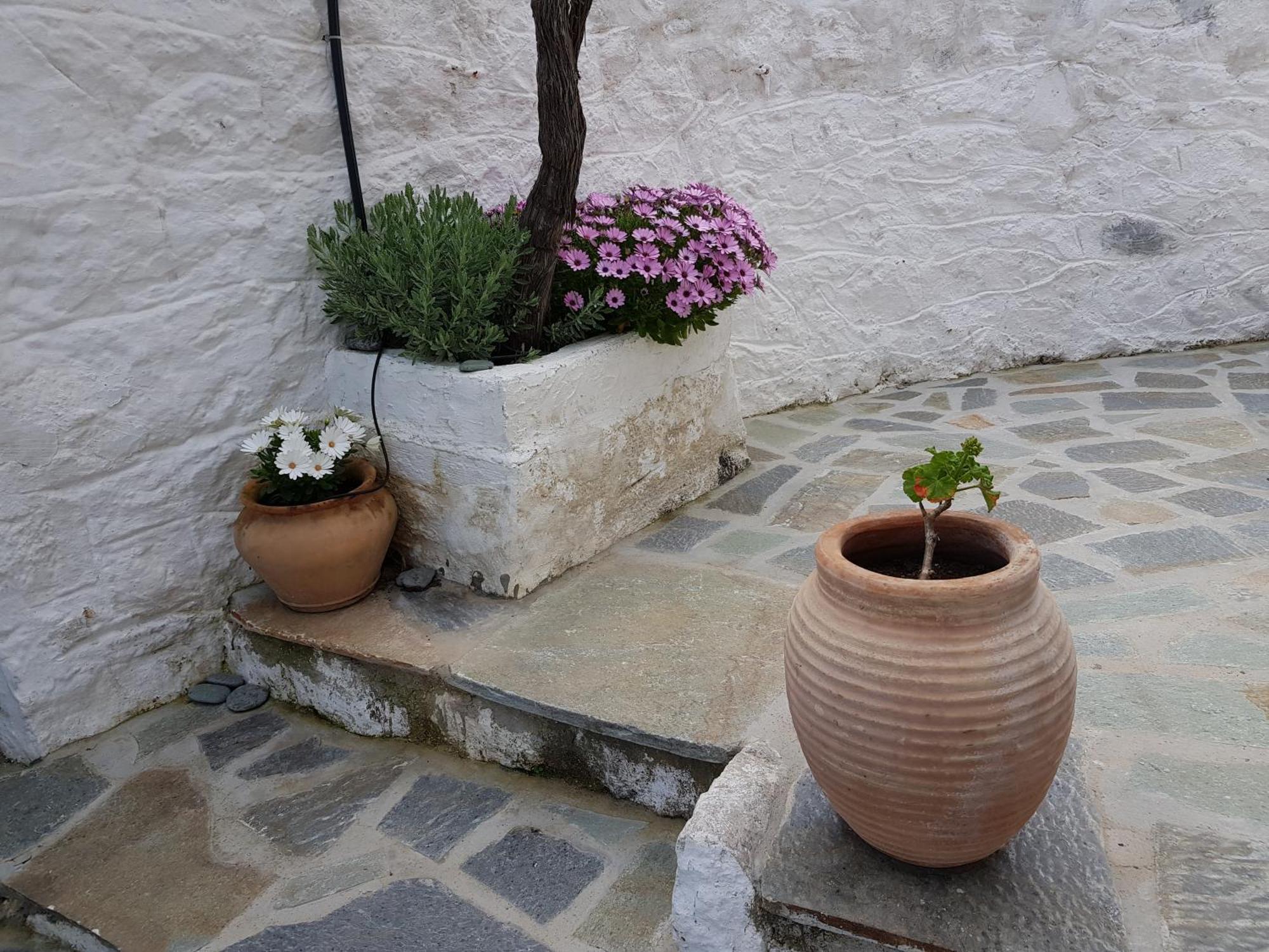 Lovely Traditionnal House With Sea View Τυρός Εξωτερικό φωτογραφία