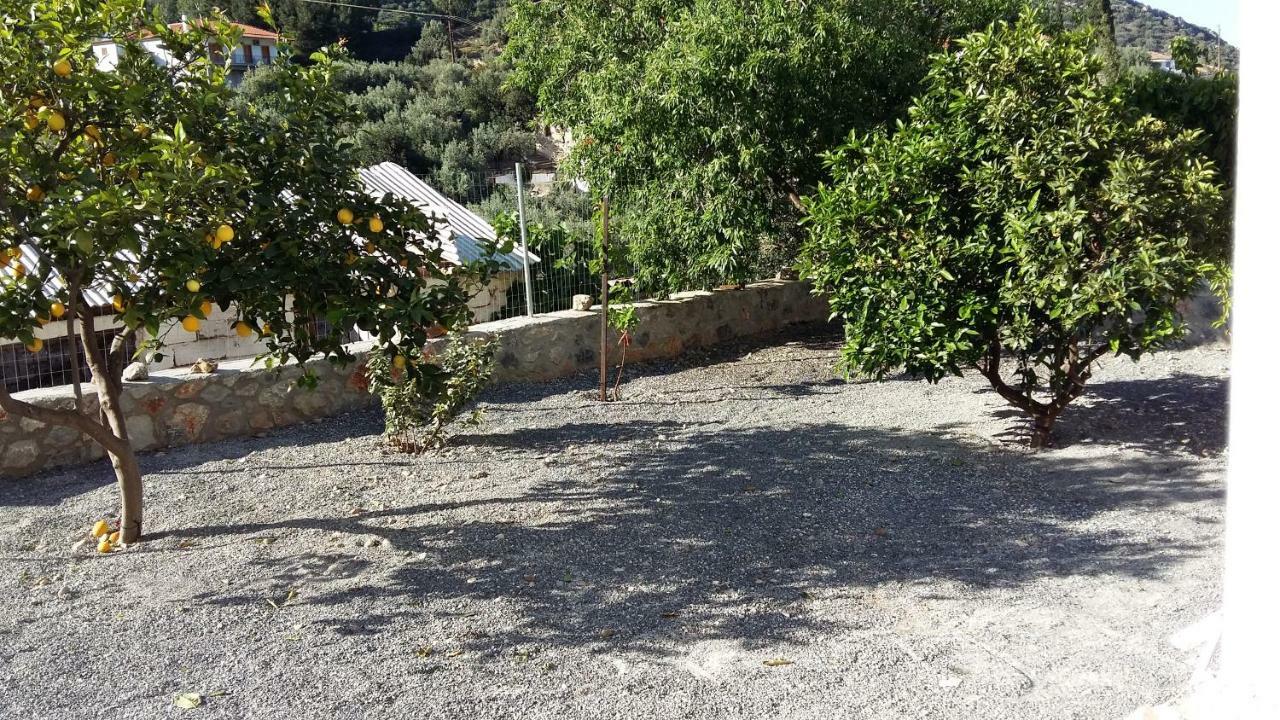 Lovely Traditionnal House With Sea View Τυρός Εξωτερικό φωτογραφία